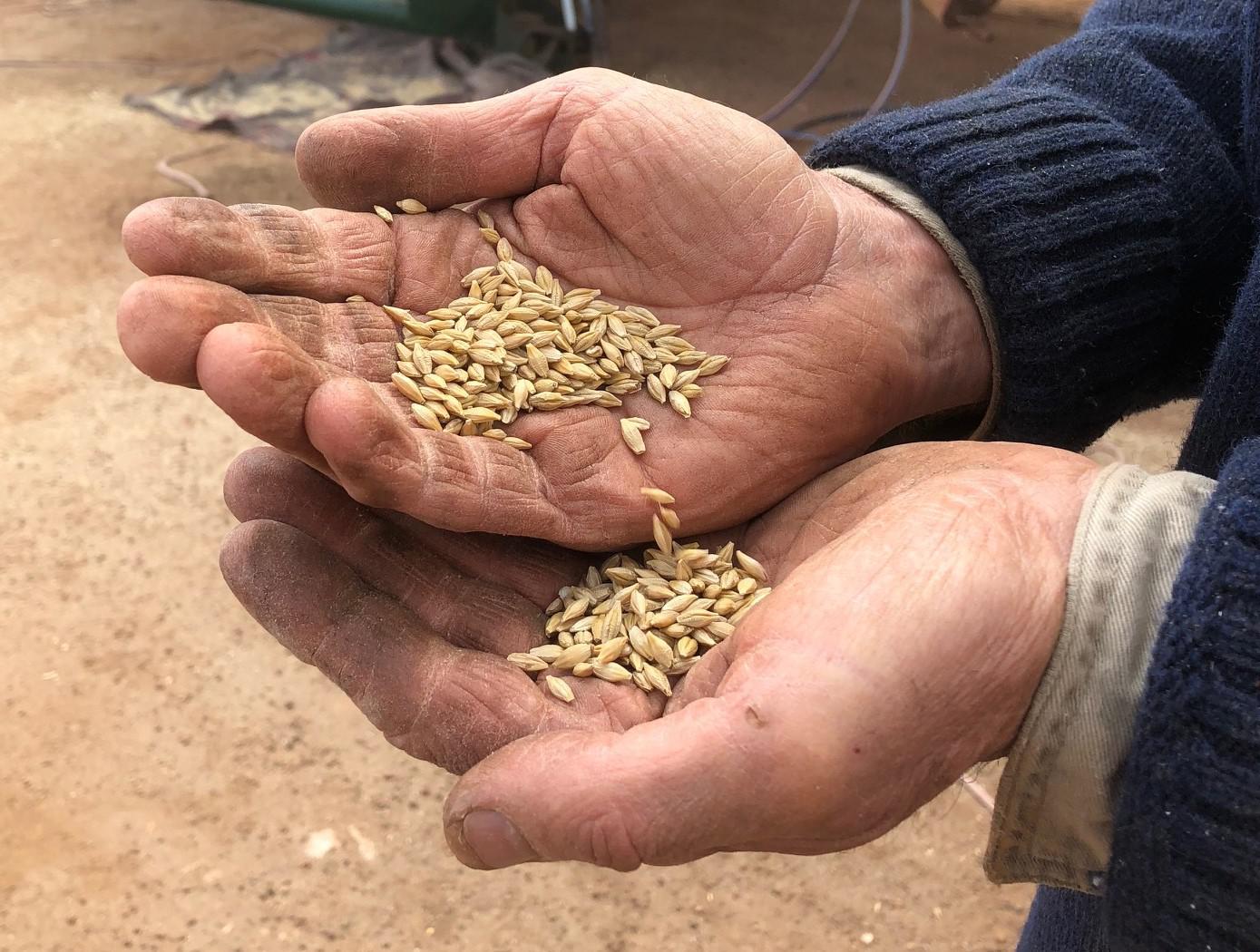 Images Hannaford - Katanning & Districts