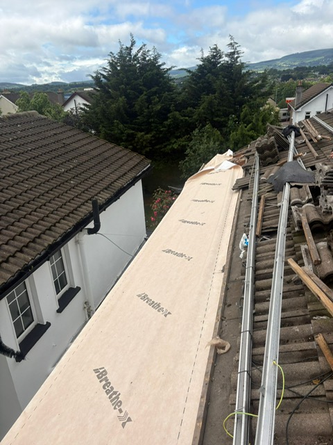 Pro Elite Roofing 49