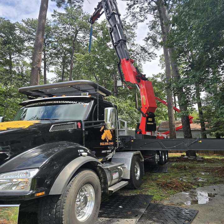 Images Tree Masters Inc.