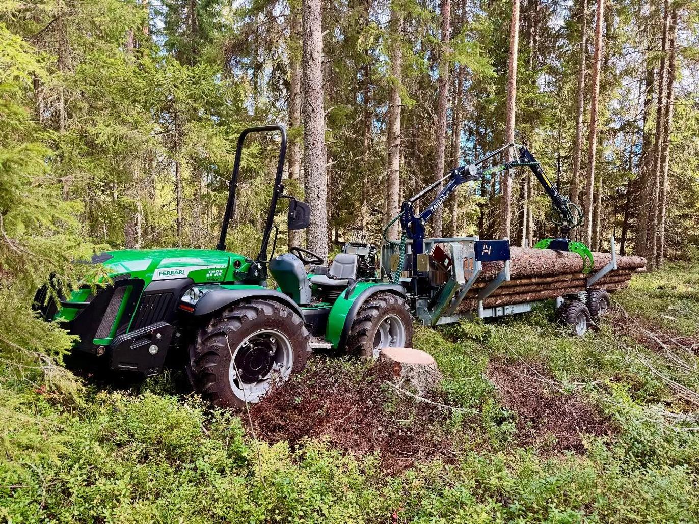 Images Umeå Trädservice
