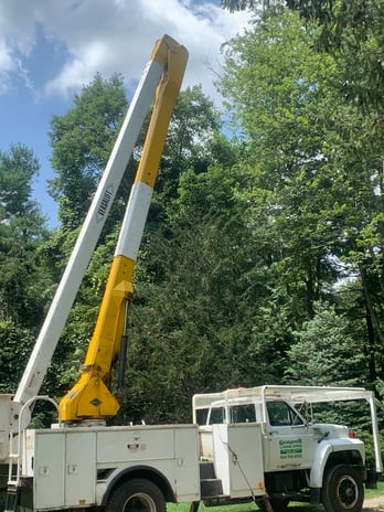 Images Guayos Landscaping & Tree Service