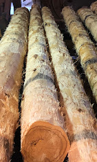 P & R Lumber LLC Image