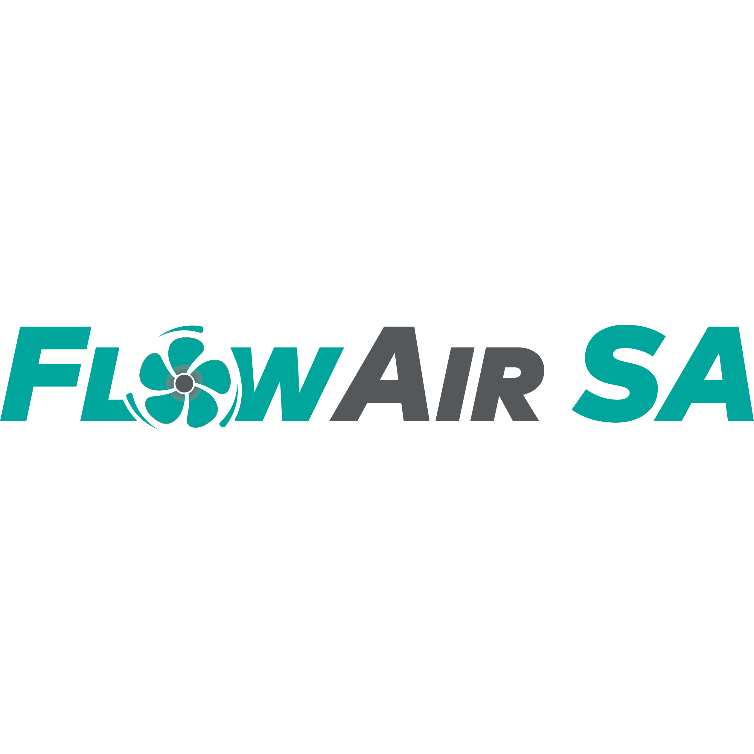 FlowAir Activity SA Logo