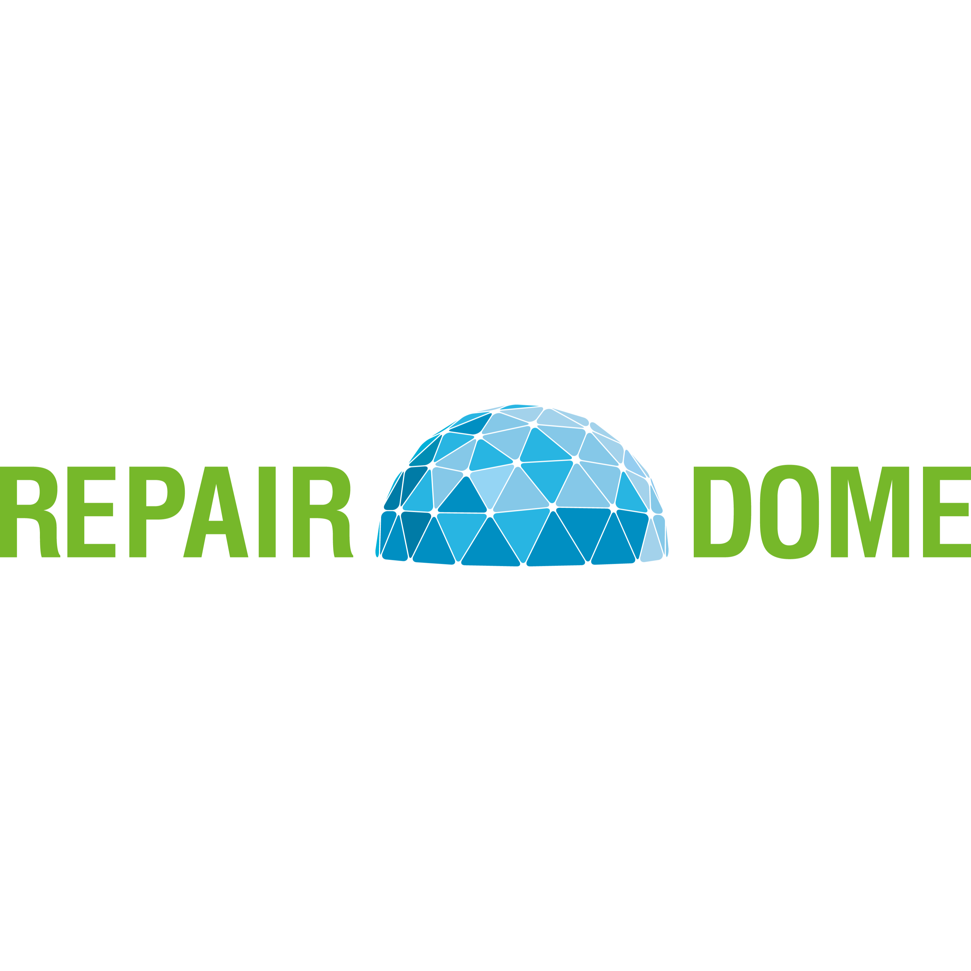 Logo Repair-Dome Nordhorn