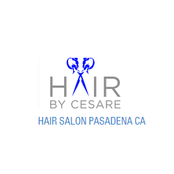 Hair By Cesare, Inc.