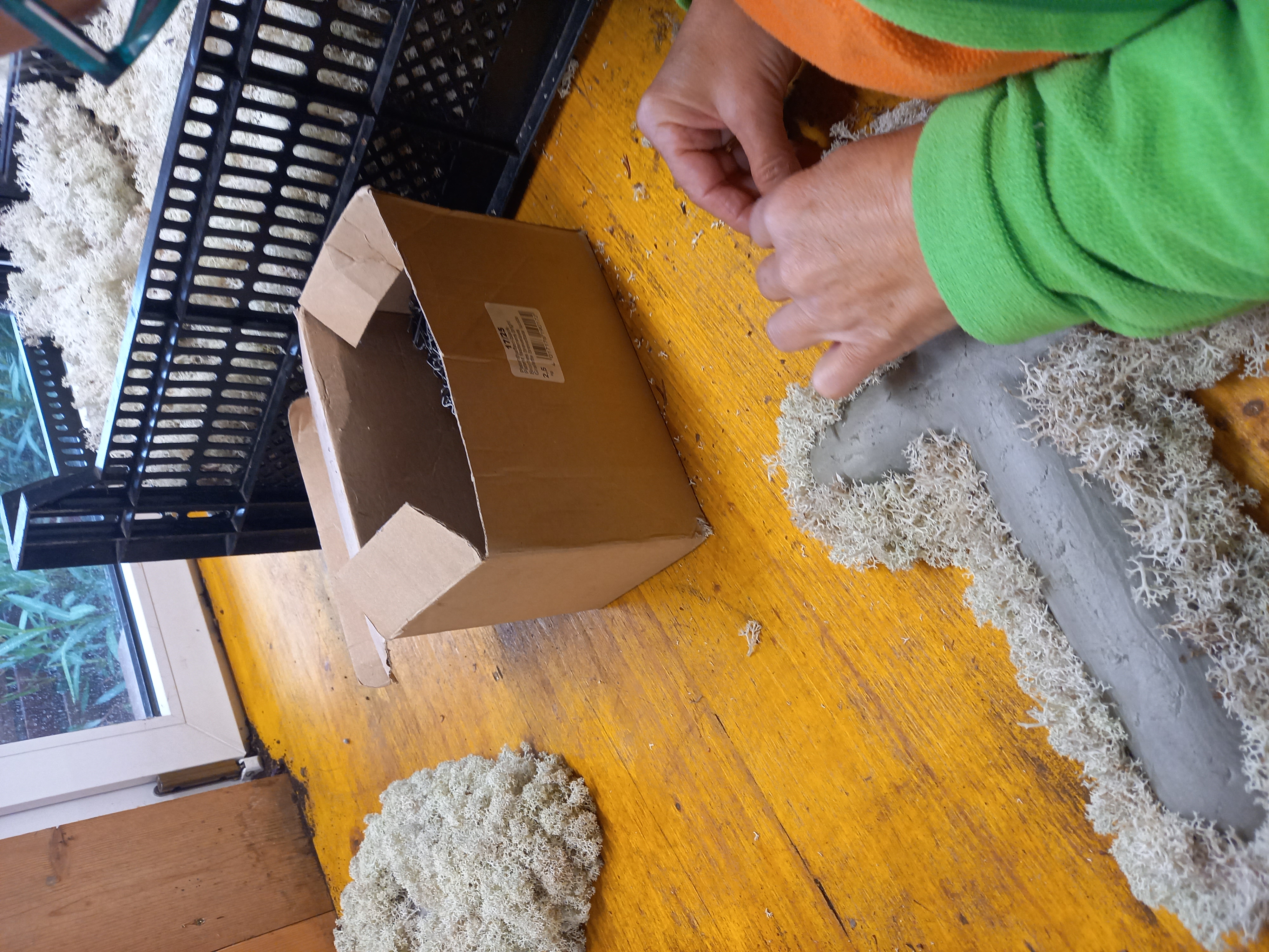 Bild 69 von Grün-Zone