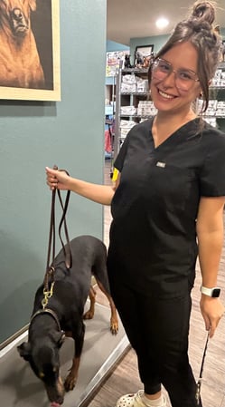 Images Adobe Animal Hospital