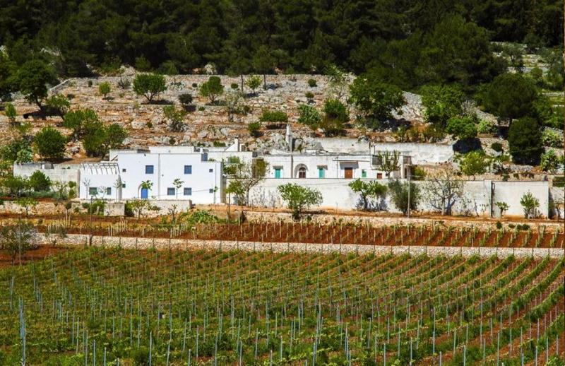 Images Cantine Torrevento