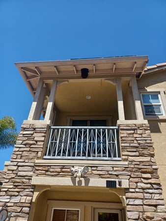 Images Bee Free Bee Removal