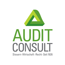 Logo Audit Consult