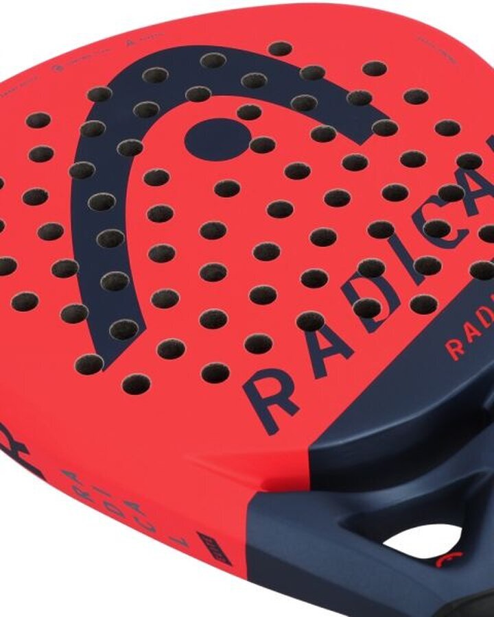 Images Import Paddle
