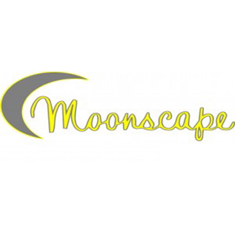 Moonscape