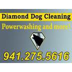 Diamond Dog Pressure Cleaning Logo