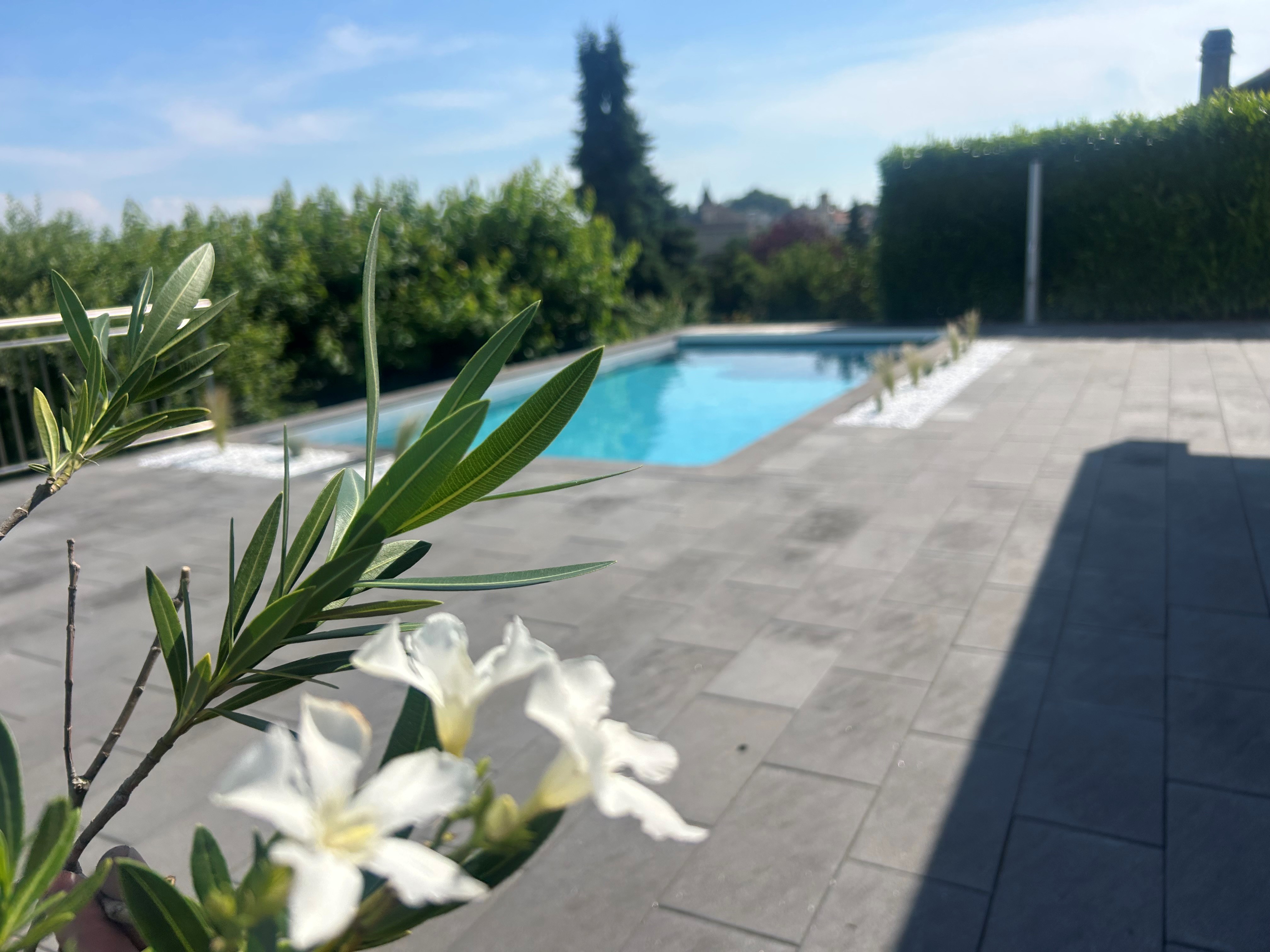 Bilder MY Jardin Sàrl