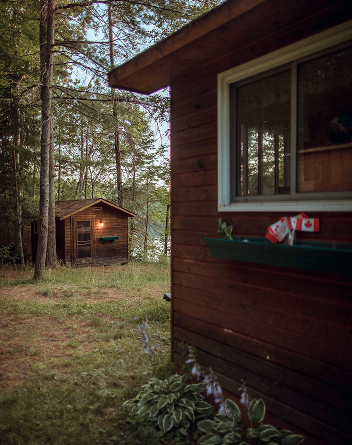 A cottage and neighbouring cabin surrounded by pine trees.