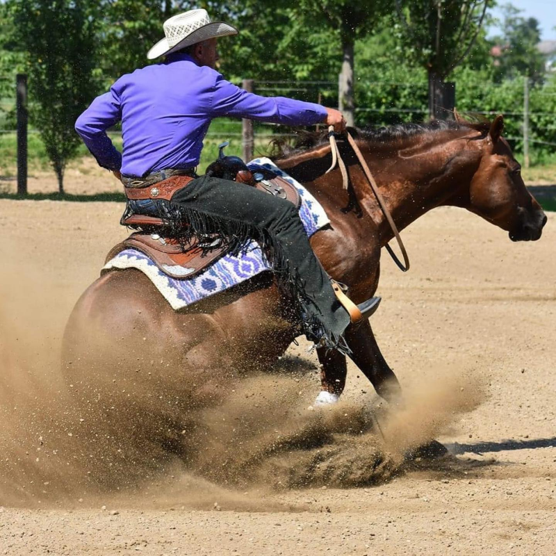 Images Girardi Stable A.S.D.