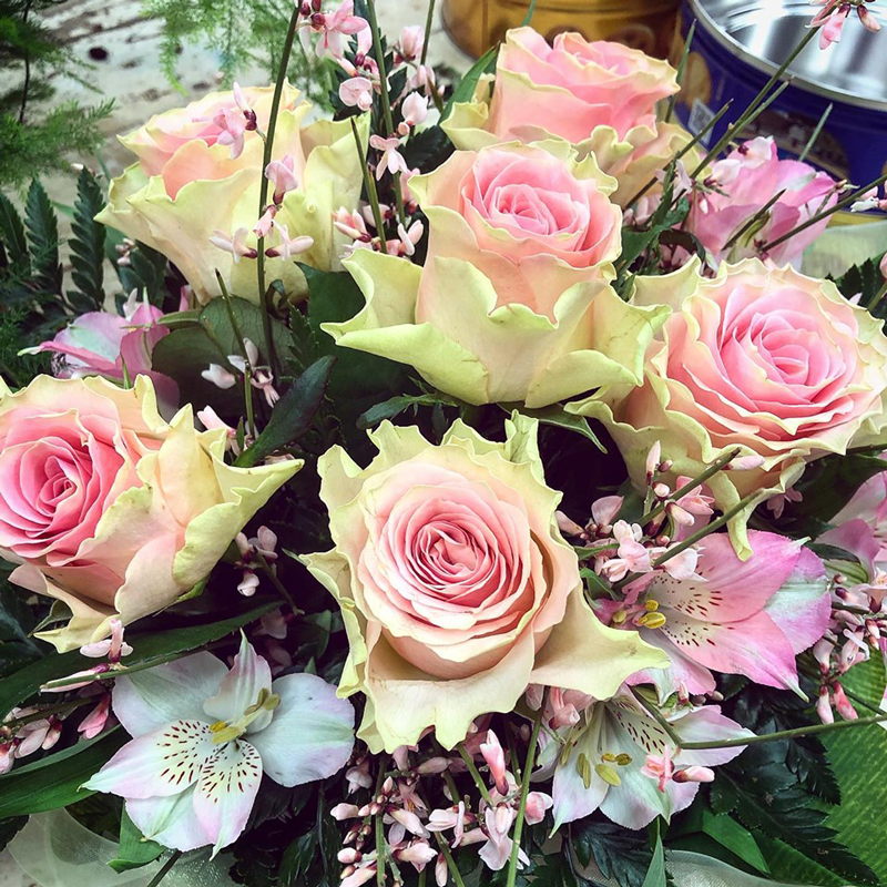 Images Non Solo Fiori