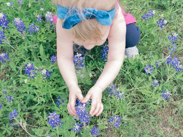 Images A Joy Story Photography