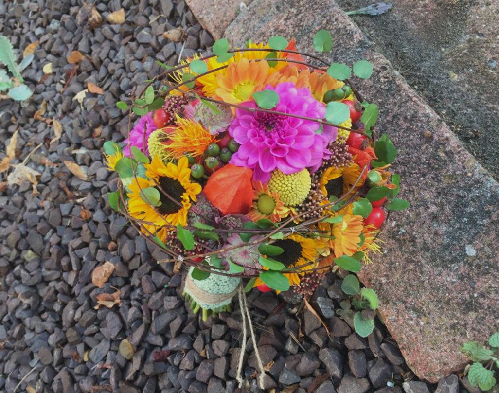 Bilder Blumen und Floristik Nintemann