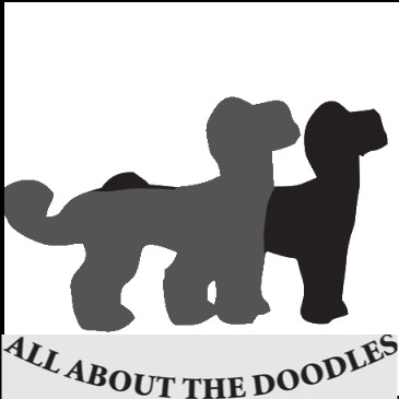 All About The Doodles Logo