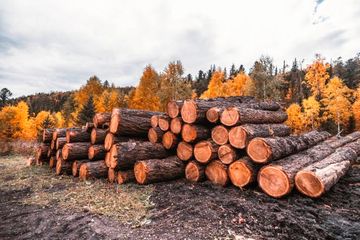 Images Aquiles Nieto Filgueira S.L.