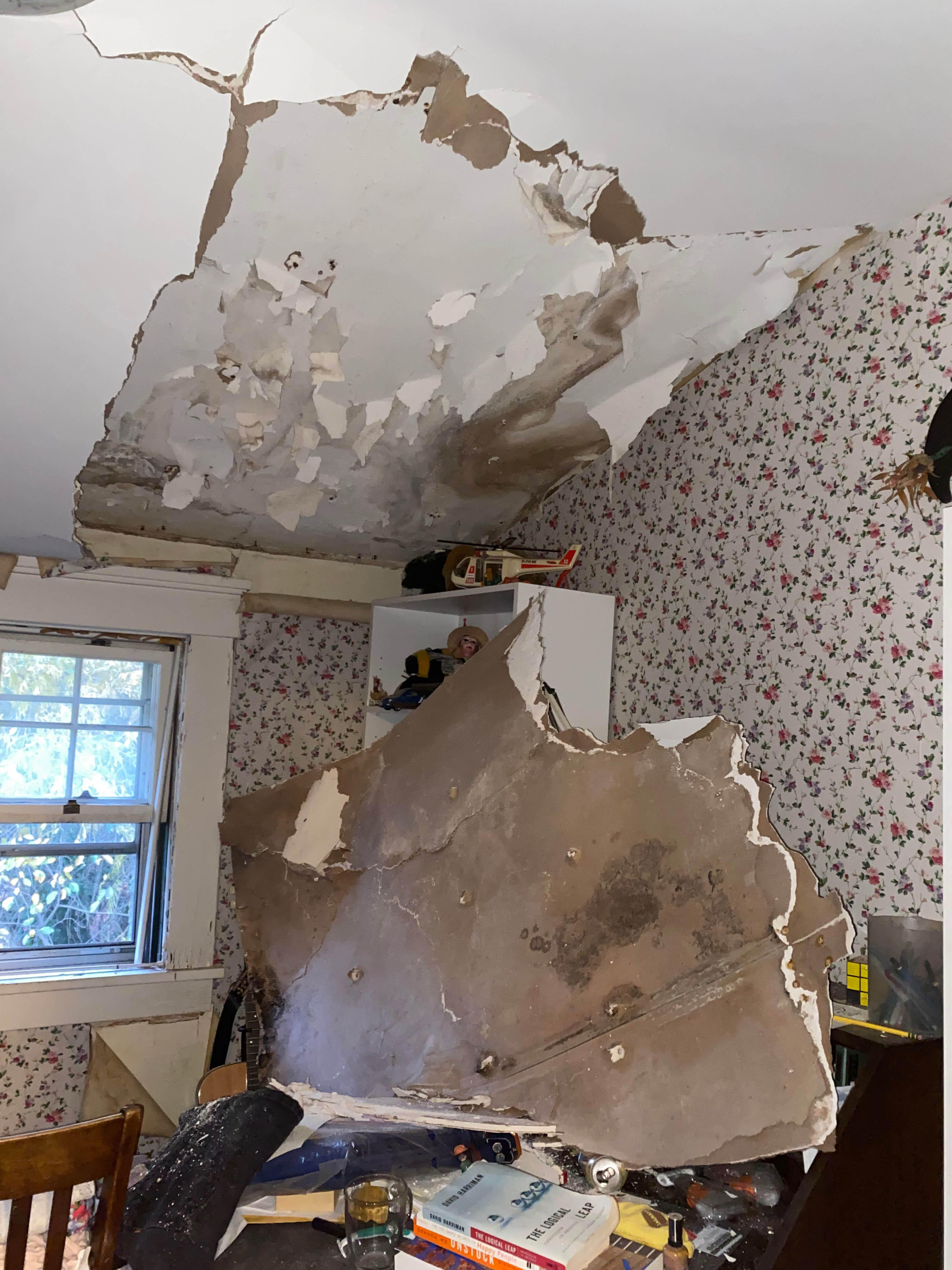 Mold can grow anywhere there is moisture! Don't try to deal with it on your own. SERVPRO of Providence can help you with any hidden moisture in your Wanscuck, RI home. Give us a call!