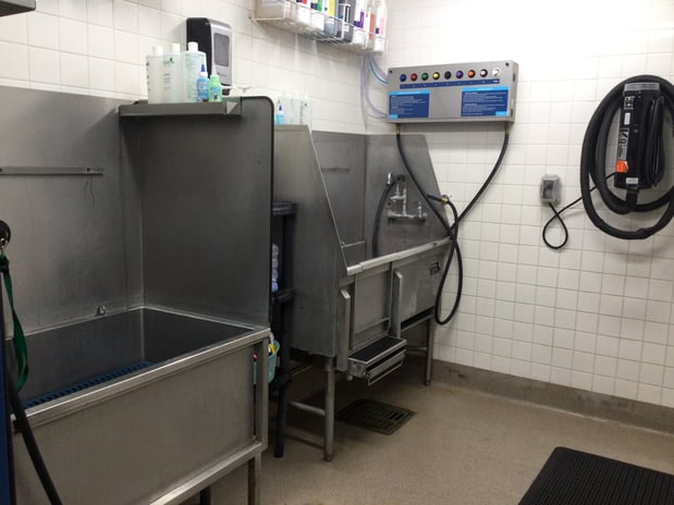 Images Petco Grooming