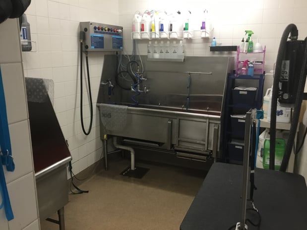 Images Petco Grooming