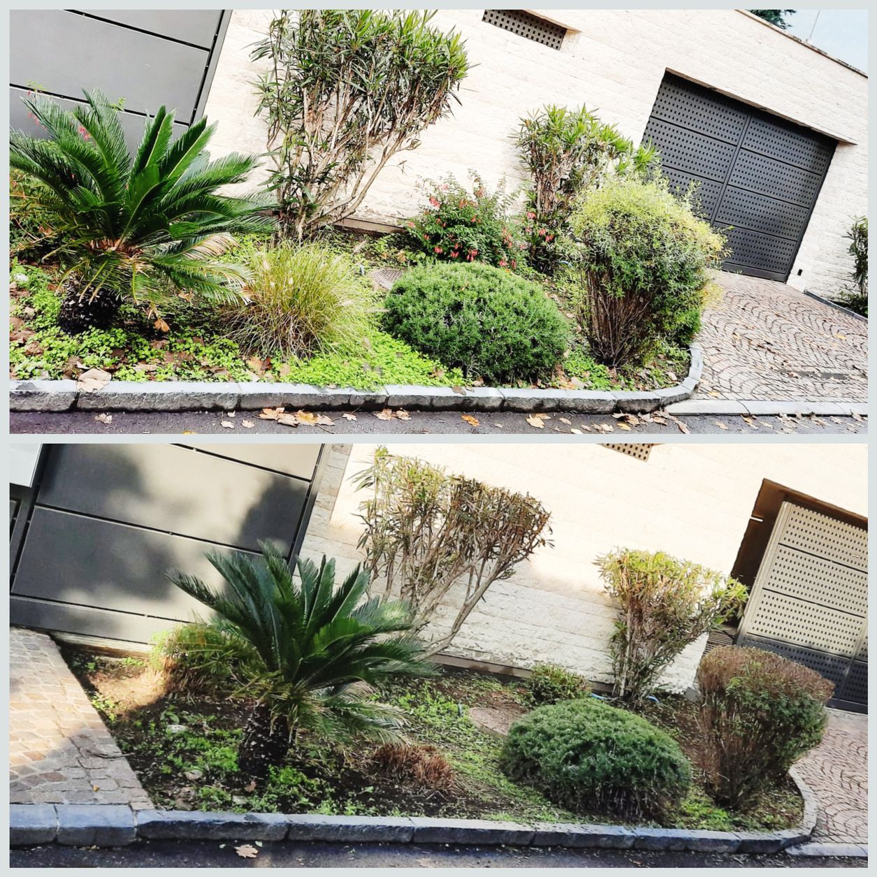 Bilder ARTE'S Impresa di pulizie