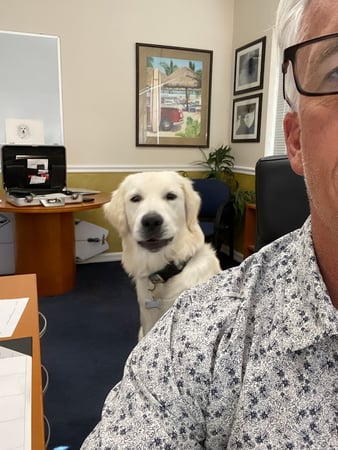 Images Jeff Noviello - State Farm Insurance Agent