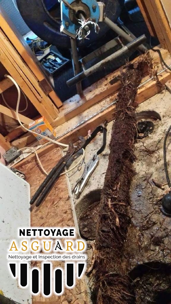 Images Nettoyage Asguard