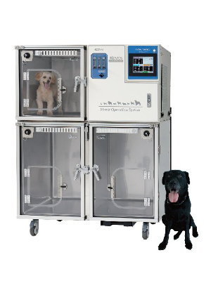 Images The vet 南麻布動物病院