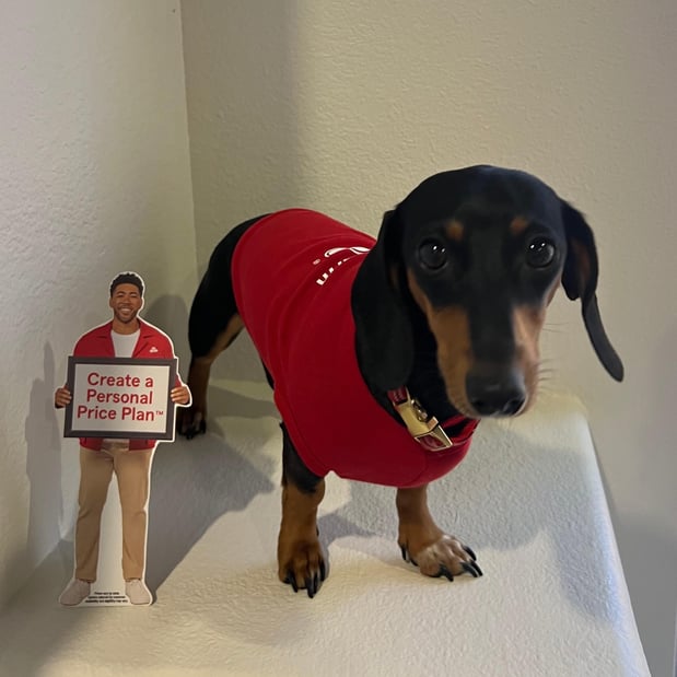 Images Molly Kissel - State Farm Insurance Agent