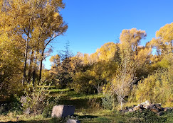 Mogote Meadow Cabins & RV Park Image