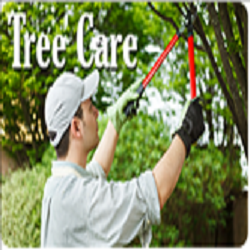 Trees Done Right