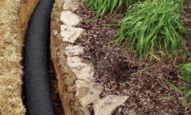 Images Guardian Landscape