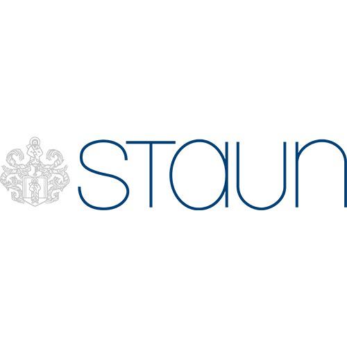 Logo Staun