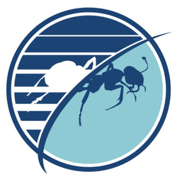 Budget Pest Control, Inc. - Pittsburgh, PA 15237 - (412)318-4912 | ShowMeLocal.com