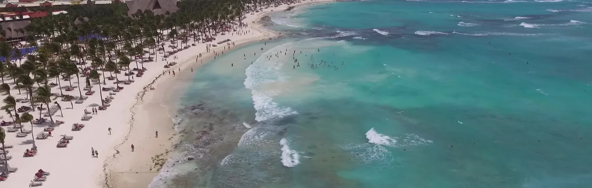An aerial drone shot captures a vibrant tropical beach scene, with numerous palm trees lining the white sand. Loungers are scattered across the beach, some occupied by people. The turquoise ocean laps gently at the shore, with waves breaking and a cluster of people swimming and wading in the shallows. In the distance, resort-style buildings with thatched roofs are visible.