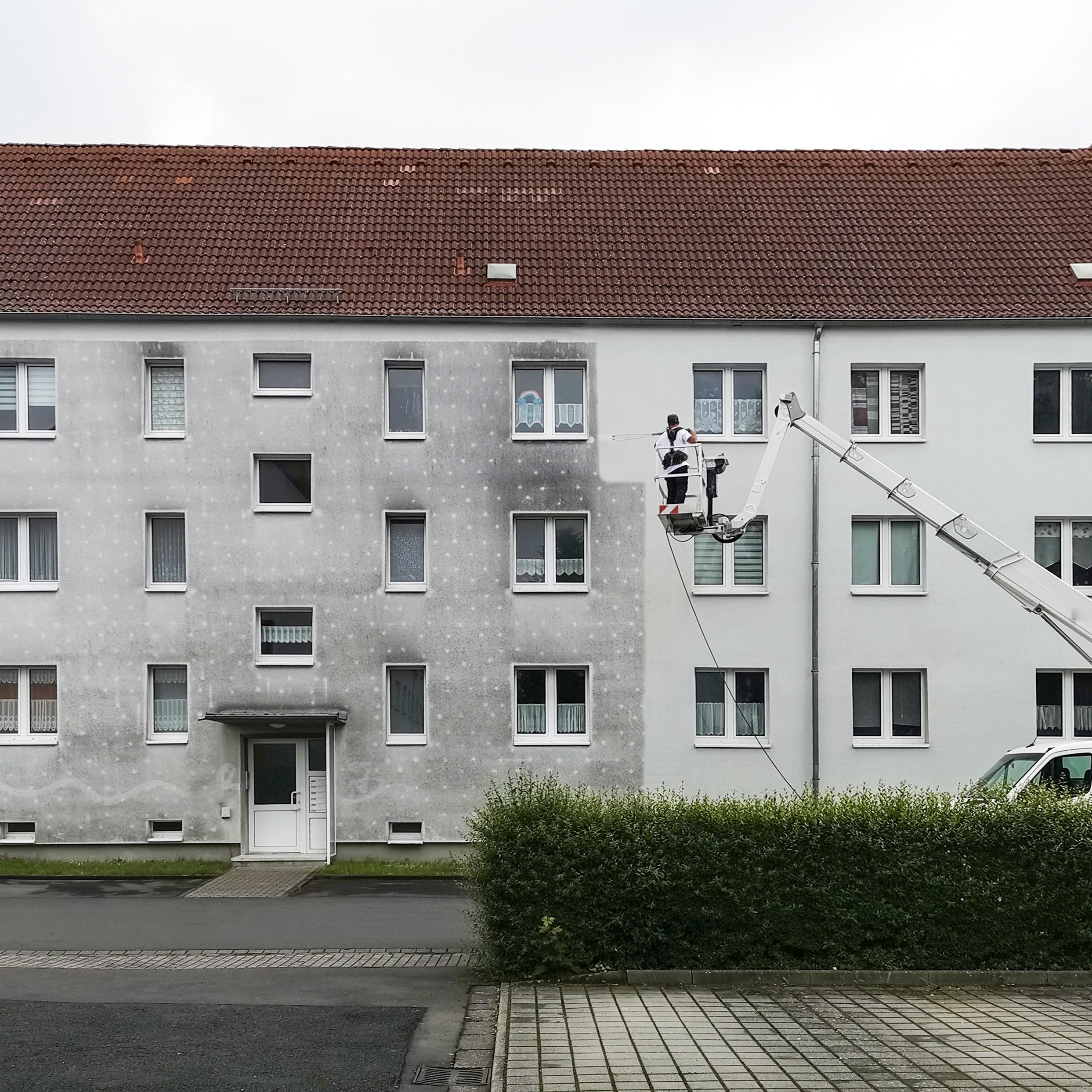 Bild 8 von Algenmax Fassadenreinigung