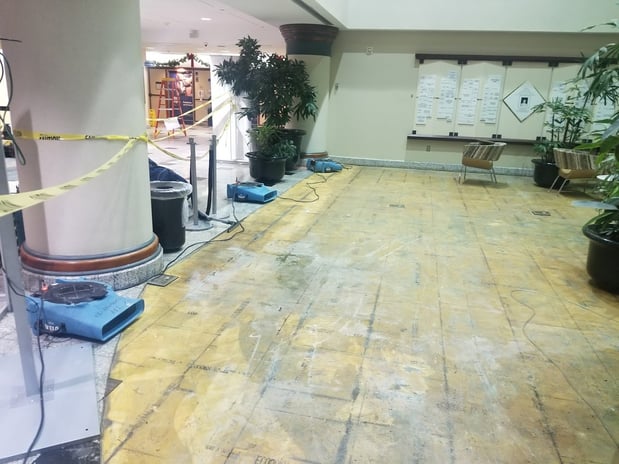 Images EZ Mitigation