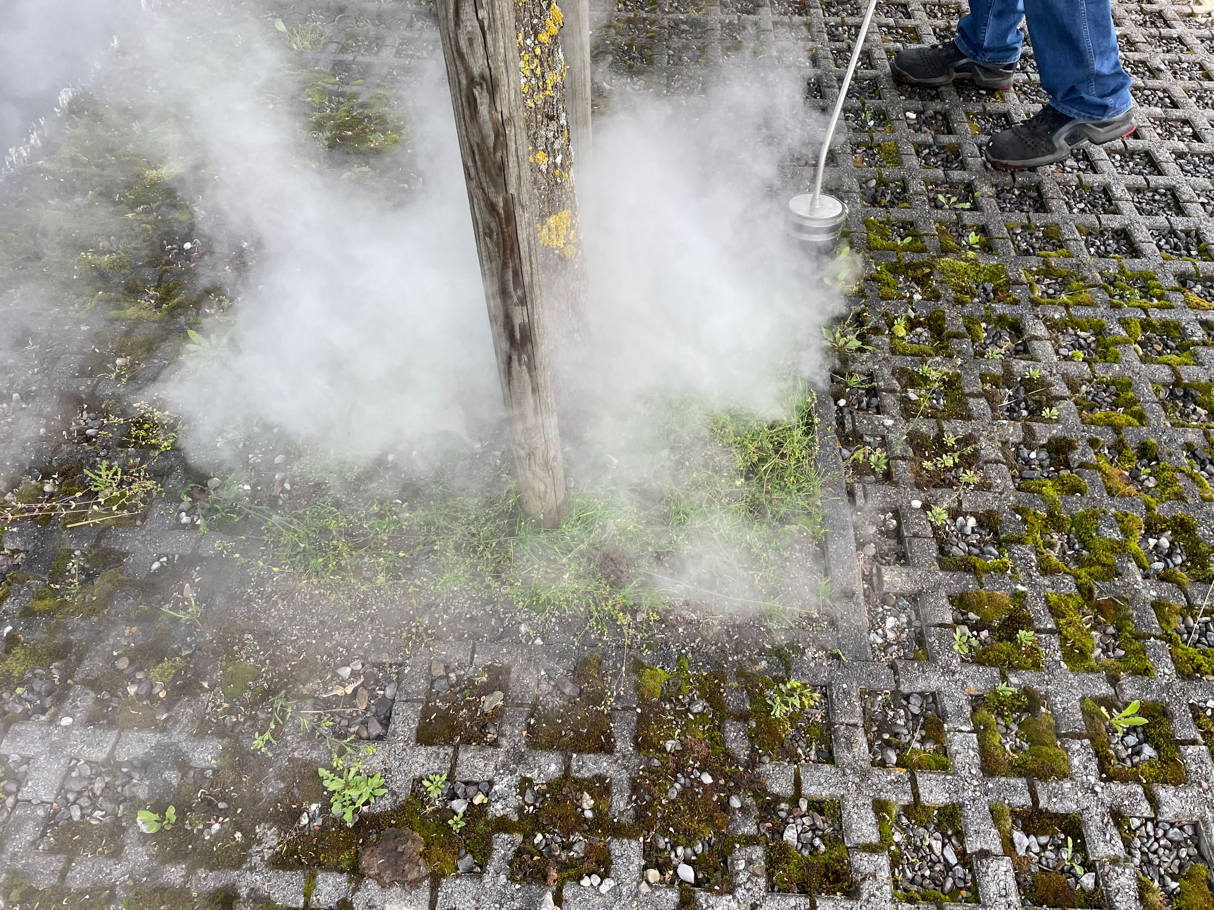 Bilder Gebäudereinigung RUPPANNER Hauswartungen KECKEX.swiss
