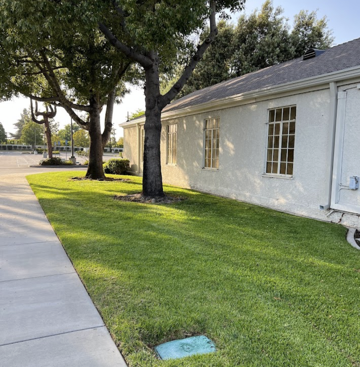 The Church of Jesus Christ of Latter-day Saints Image