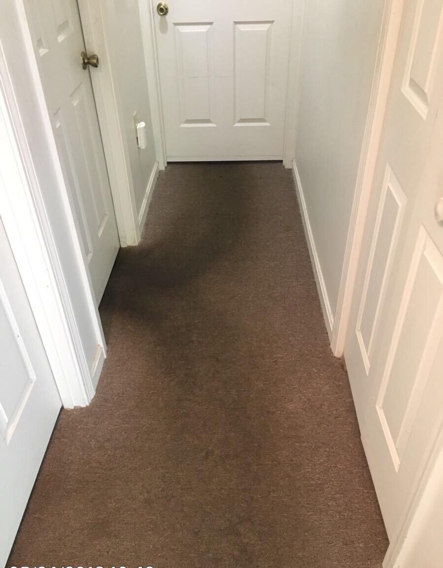Need your carpets cleaned? Call SERVPRO of Portland! We're here to help!