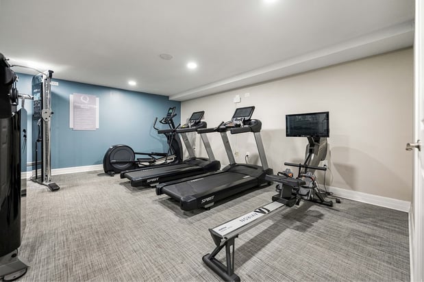 Images The Q at Maitland