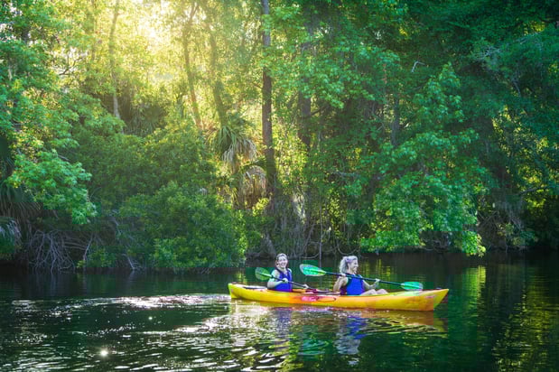 Images Palmetto Dunes Oceanfront Resort