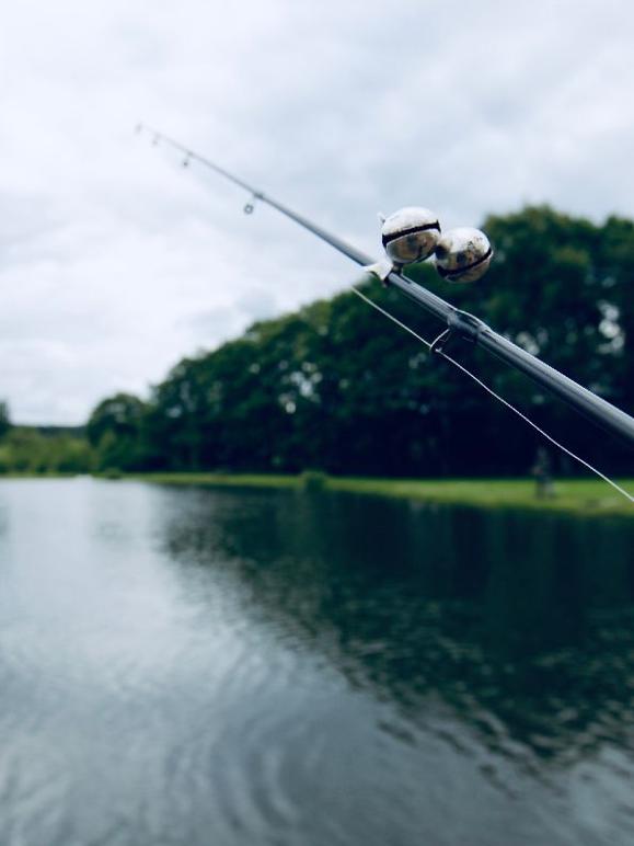 Images Ørnsø Fiskesø