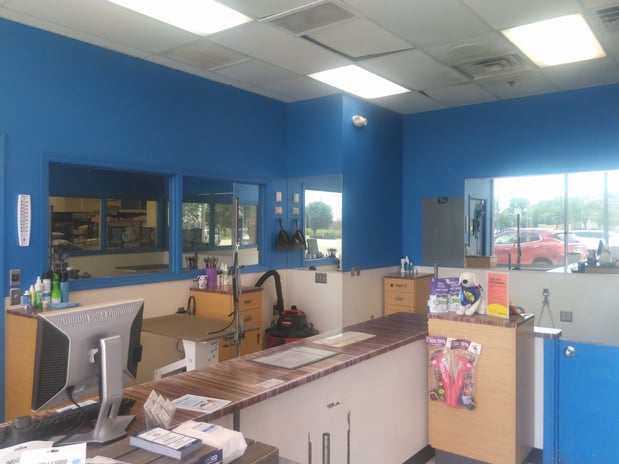 Images Petco Grooming