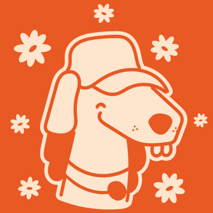 MOUSTACHE Toilettage toilettage de chien et chat