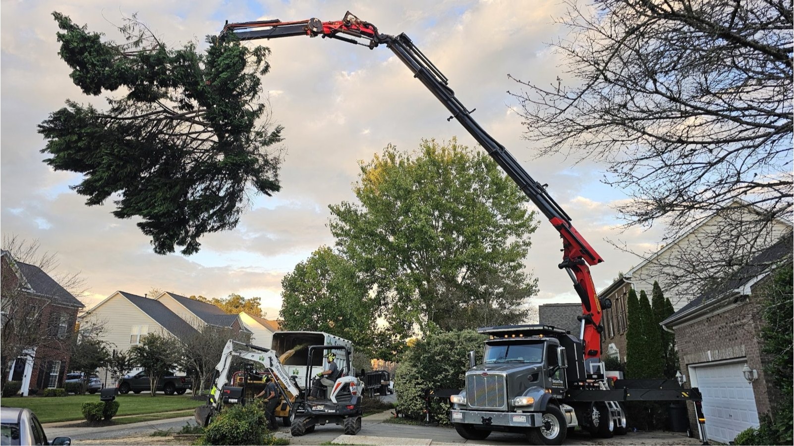 Crane tree removal at a home in a Charlotte-area neighborhood